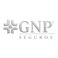 GNP Seguros GNP Seguros