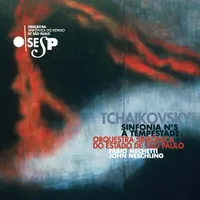 A capa do CD "Tchaikovsky" é a pintura “O Vulcão P/B”, de 1993, da artista Mariannita Luzzati. A tela retrata um vulcão vermelho, em contraste com uma névoa azulada.