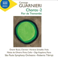 A capa mostra uma pintura de um círculo verde com contornos mais escuros.